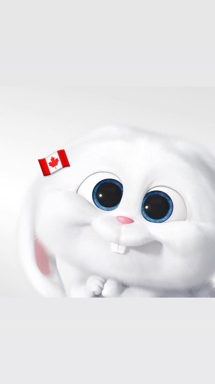 淳の加拿大代購團🇨🇦