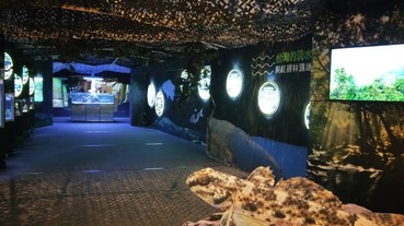台灣人必看！全台首次展出 你認識河口魚類嗎？海科館「臺灣濕地魚類生態特展」讓你更懂台灣！