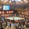 プロレスに対するフラストレーションを発散しようの会