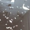 Hottest Temp：全夢ハント