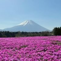 みんなの部屋だら！