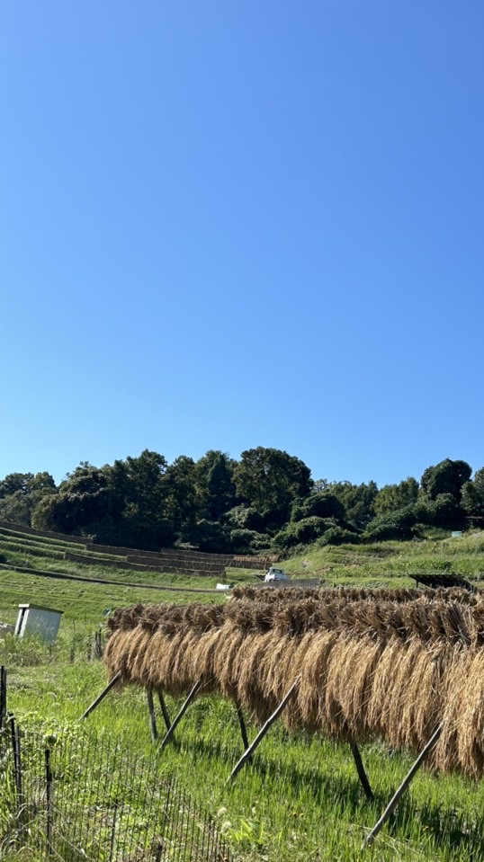 『農家の発酵手しごと』入門講座