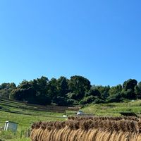 『農家の発酵手しごと』入門講座
