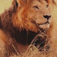 Ubereats 野獸樂園【外送交流司機區】