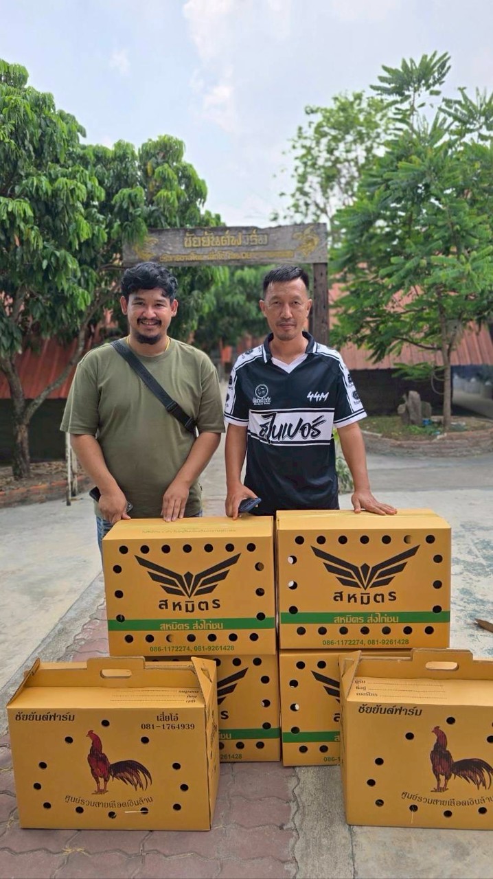 ผาเมืองฟาร์ม หนองไผ่เพชรบูรณ์