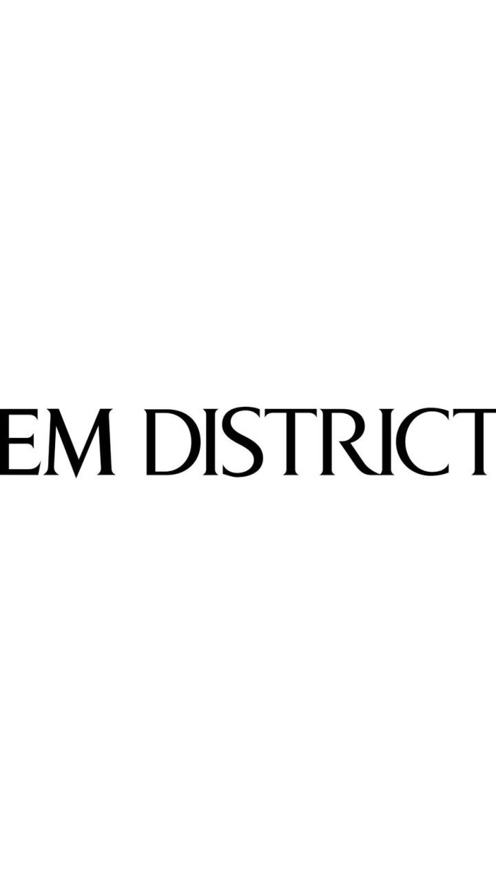 EM DISTRICT SHOPPING PROMOTION