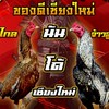 นันโด้ เชียงใหม่