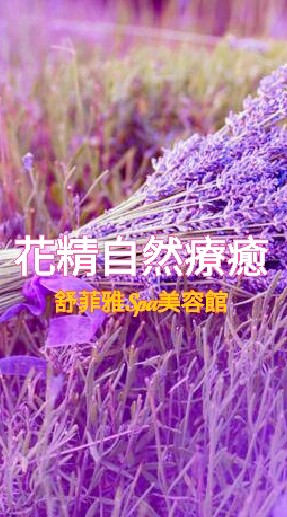 舒菲雅🌺花精心靈療癒