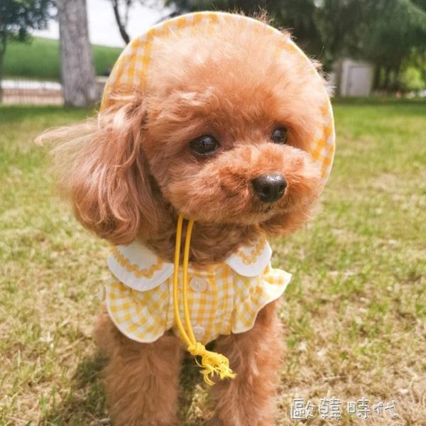小帽子幼稚園小狗狗衣服夏裝泰迪貓咪寵物小型犬比熊博美夏季薄款 歐韓時代