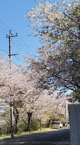 平成31年4月生まれべびちゃん👶🏻(令和元年ベビーのママもどうぞ🥰)のオープンチャット