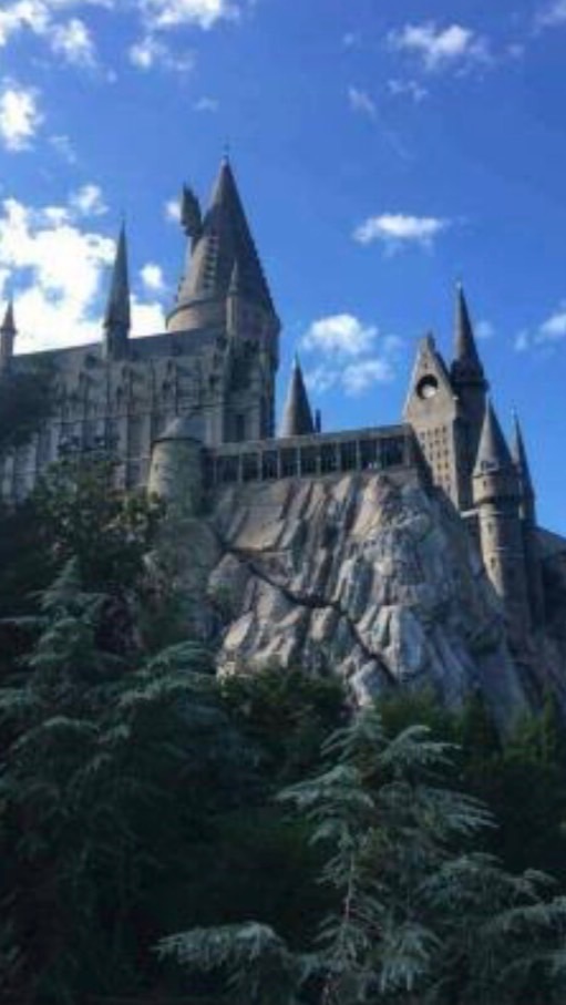 Happy potter 💟
