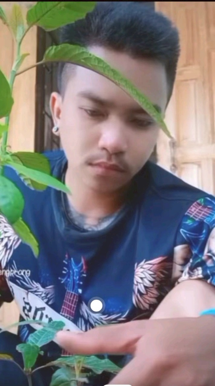 Aa