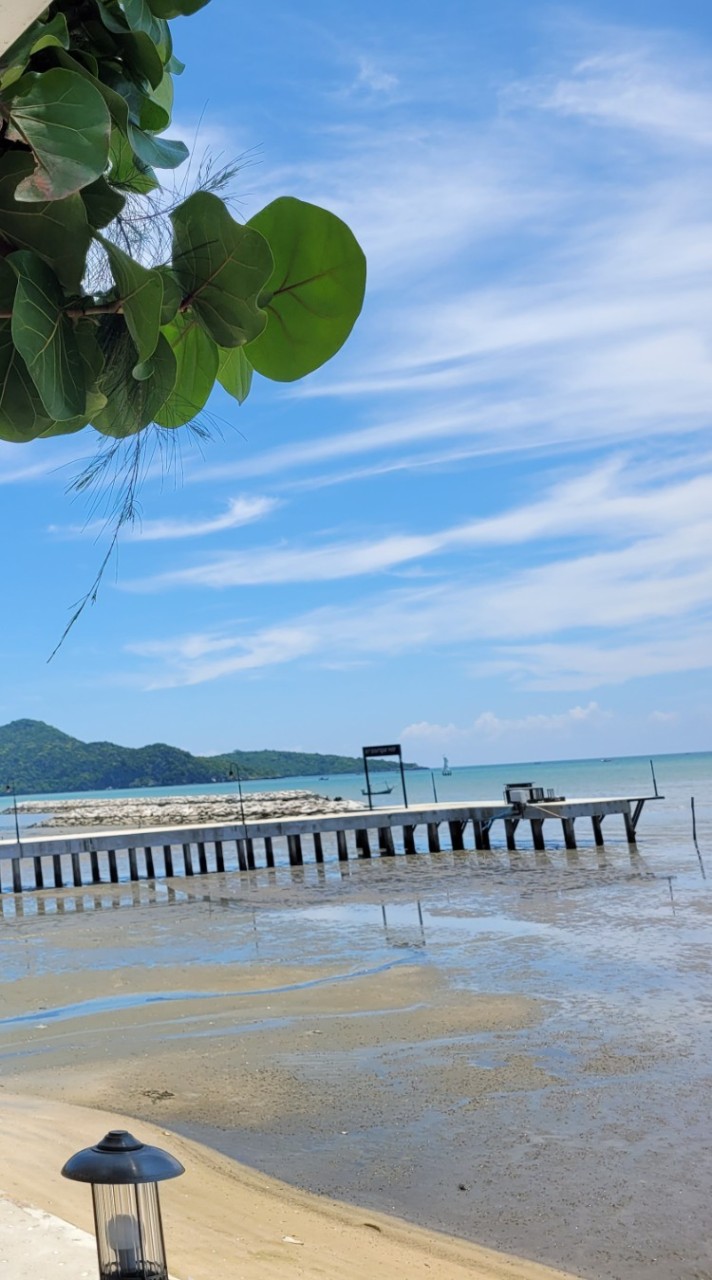 จัดเก็บรายได้ เทศบาลตำบลกุยบุรี