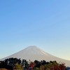 ～ソレイユ～霊感タロット占い土星王管理