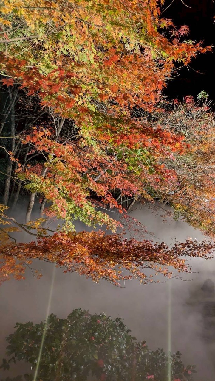 ～ソレイユ～霊感タロット占い土星王管理