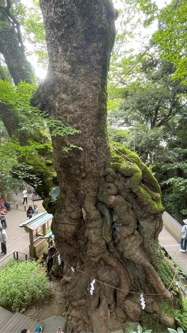 ～ソレイユ～霊感タロット占い土星王管理