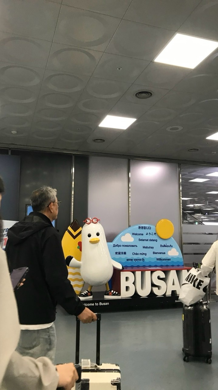 国内、海外旅行‪☺︎同行人探し...♪