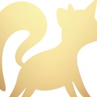 C哥鋒哥圍棋聯盟教學平台