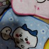 一生ハチワレ推し💚