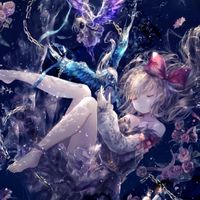 沉睡森林🌌