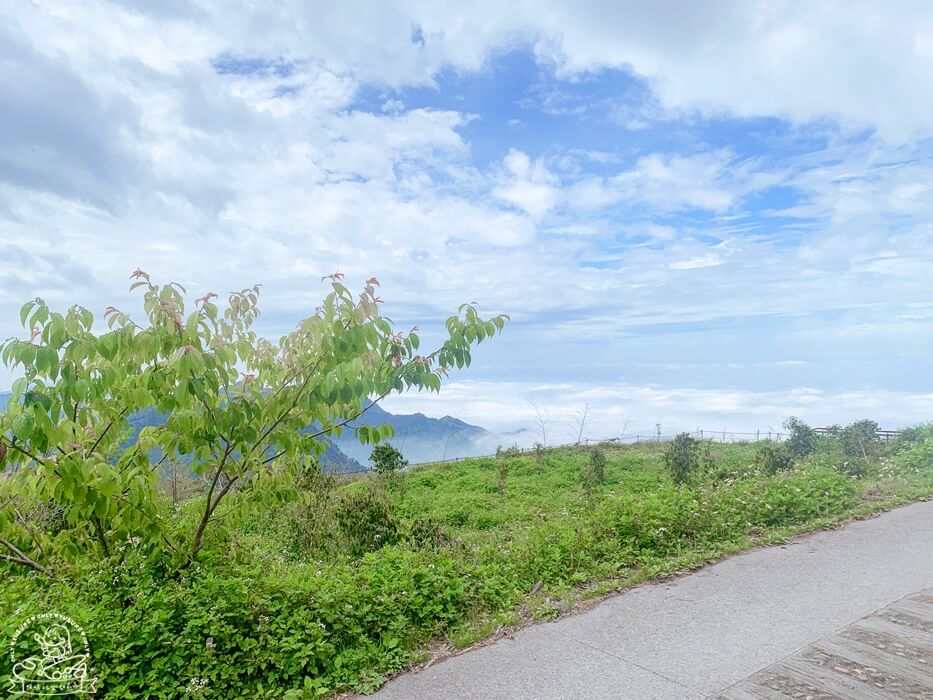 秘境景點推薦二延平步道