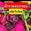 ผักผลไม้อบกรอบ