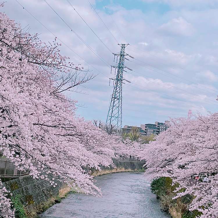 写真 夢庵 町田南成瀬店 ユメアン マチダミナミナルセテン 南成瀬 成瀬駅 和食 日本料理 By Line Place