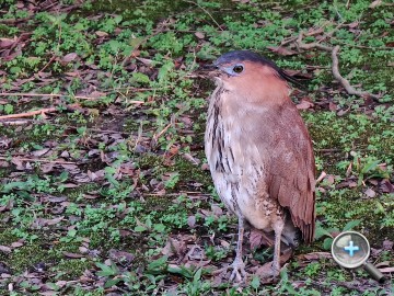 IMG20200314171953.jpg IMG20200314171953.jpg