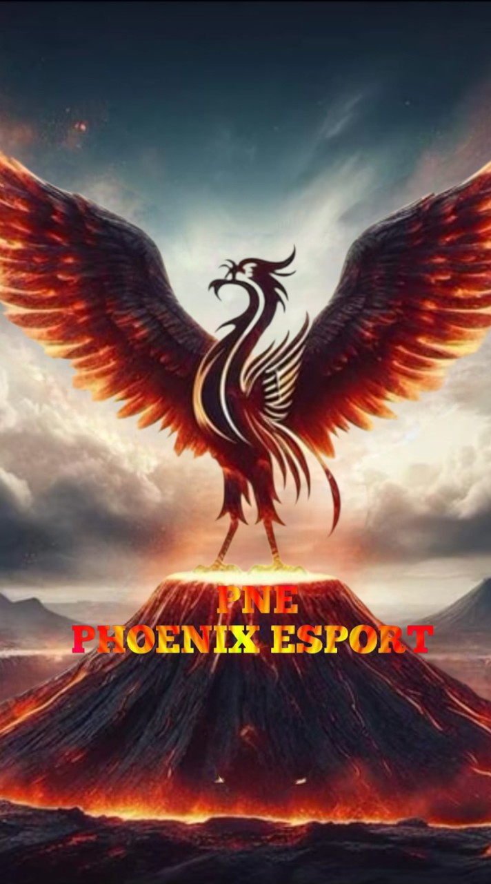 ทีมกิจกรรม PNE