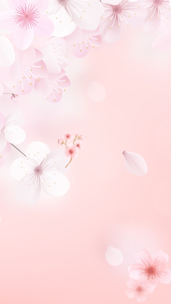 令和7年度🕊️きとちゃんち🕊️1番目を送る会