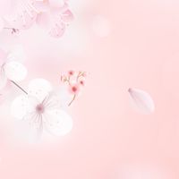 令和7年度🕊️きとちゃんち🕊️1番目を送る会