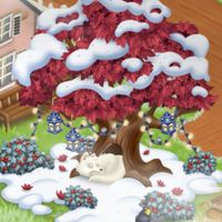 ชุมนุม HAY DAY