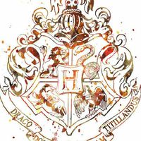 🔕Super Howarts School🔕