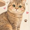 มาเติมสต๊อกให้ลูกรักกันเถอะ🐾