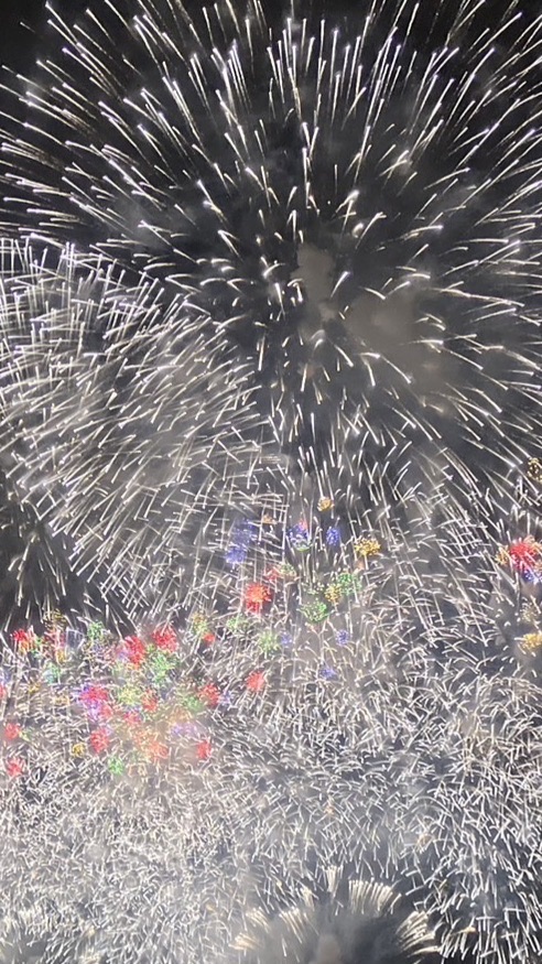 ほったらかし副業