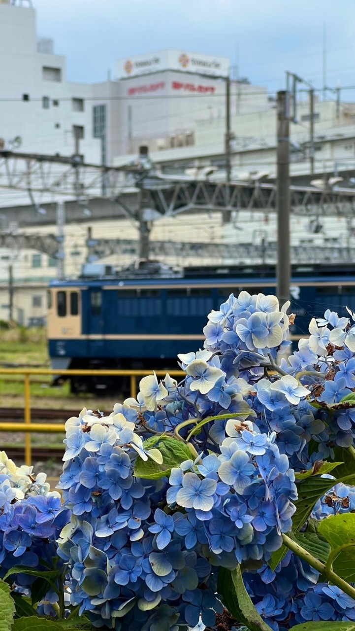 雑談ありの鉄道写真館