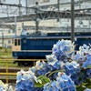 雑談ありの鉄道写真館