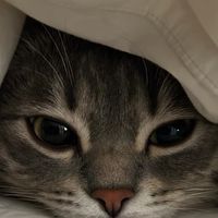 暇人グル