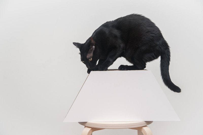 瘋窩Honeycomb ．六角形內外每面都可抓，共計12面 ．自由度高，可按照自己的創意及空間大小擺設 ．半手工製作，每個形狀都有些微差異，顏色也會因每批紙材不同而有些微色差 ．產品承重力20kg以上