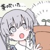 いよわ好きの雑談部屋