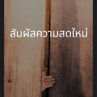 สายเมา✅💚 อยุธยา