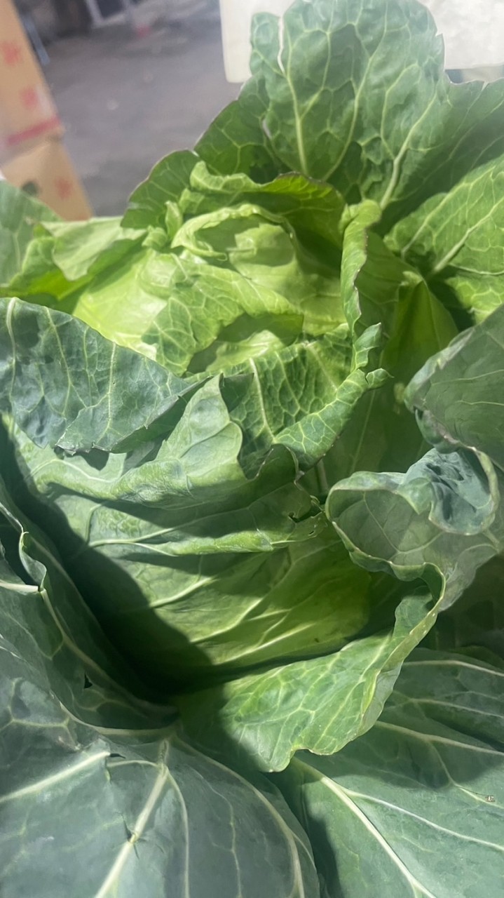 豪-蔬菜水果批發零售