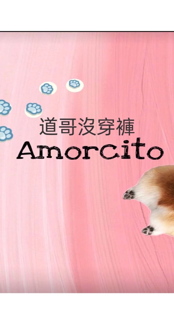 道哥🐶沒穿褲-美衣分享