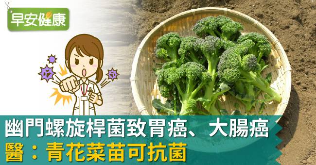 幽門螺旋桿菌致胃癌 大腸癌 醫 青花菜苗可抗菌 早安健康 Line Today