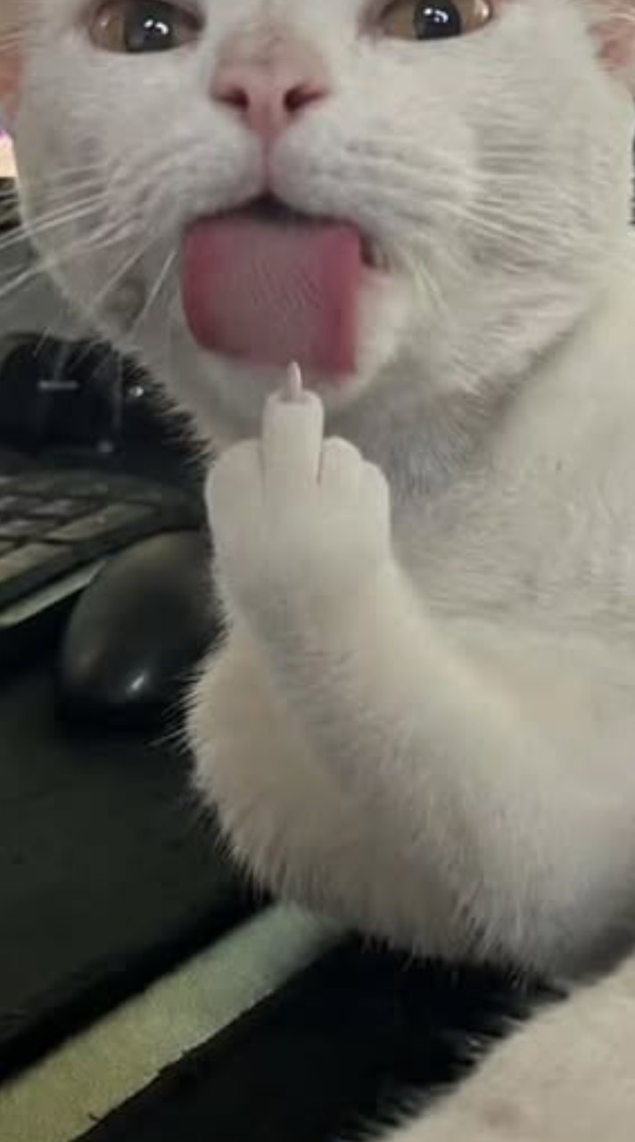 ทำไรทำ