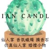 Xian-Candle仙燭/蠟燭/擴香/仙人掌