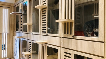 [寵物住宿]出遊貓咪怎麼辦?交給宅貓旅館放心出遊吧!細心安全合法/每天拍照附上宅貓日記/租借餵食器、攝影機