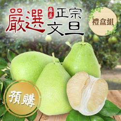預購【鮮食煮藝】嚴選麻豆正宗老欉文旦X4盒(5斤±10%(約5-7顆)/盒)