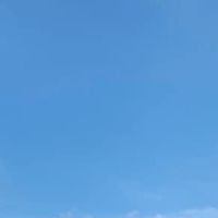 珈果快樂小農
