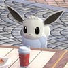 楽しくポケモン対戦！